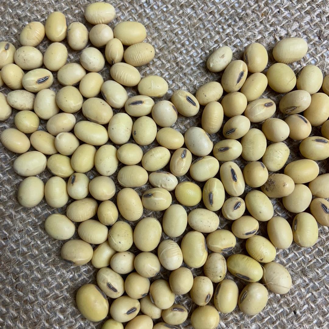 《涡水之北》农业