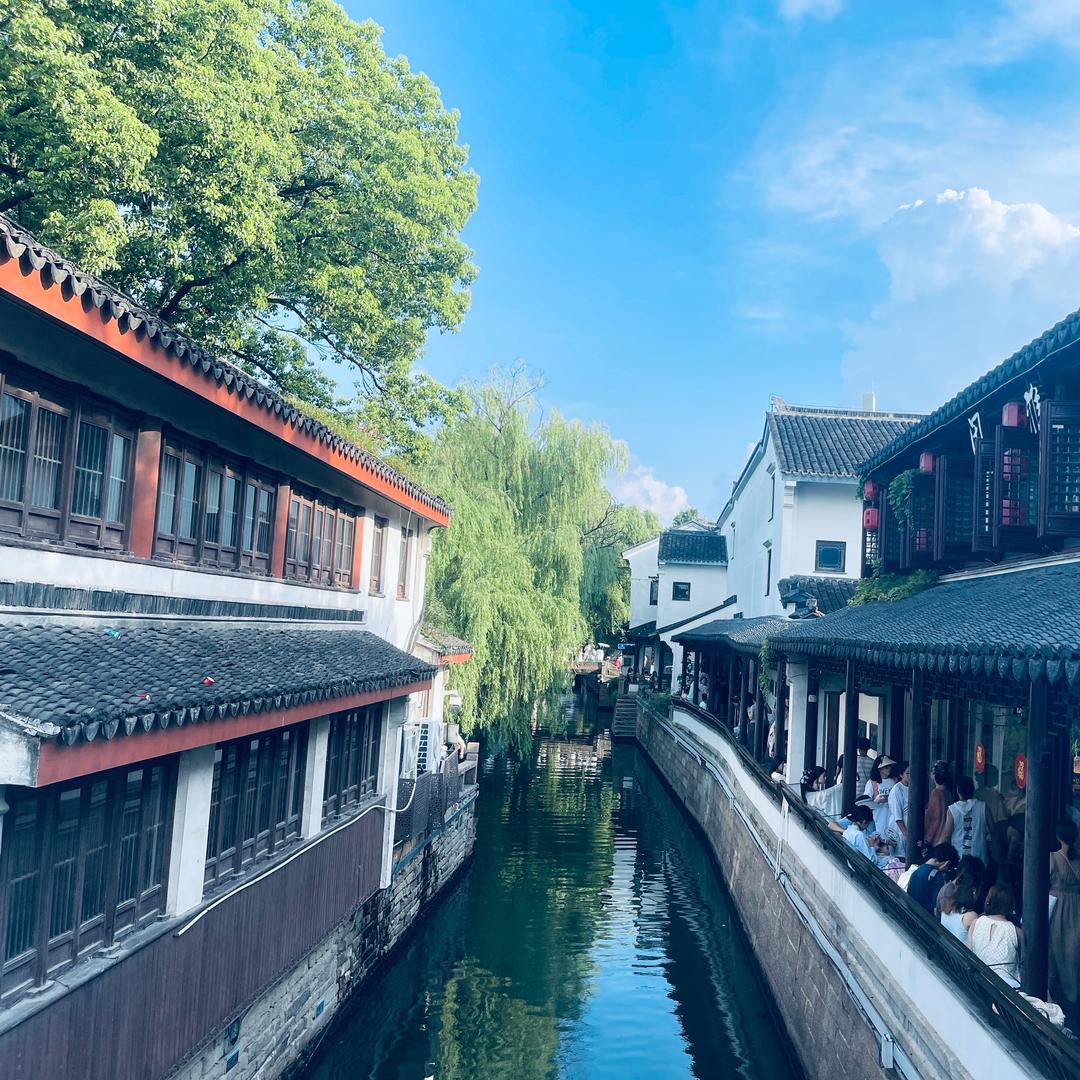 趁月色小酌