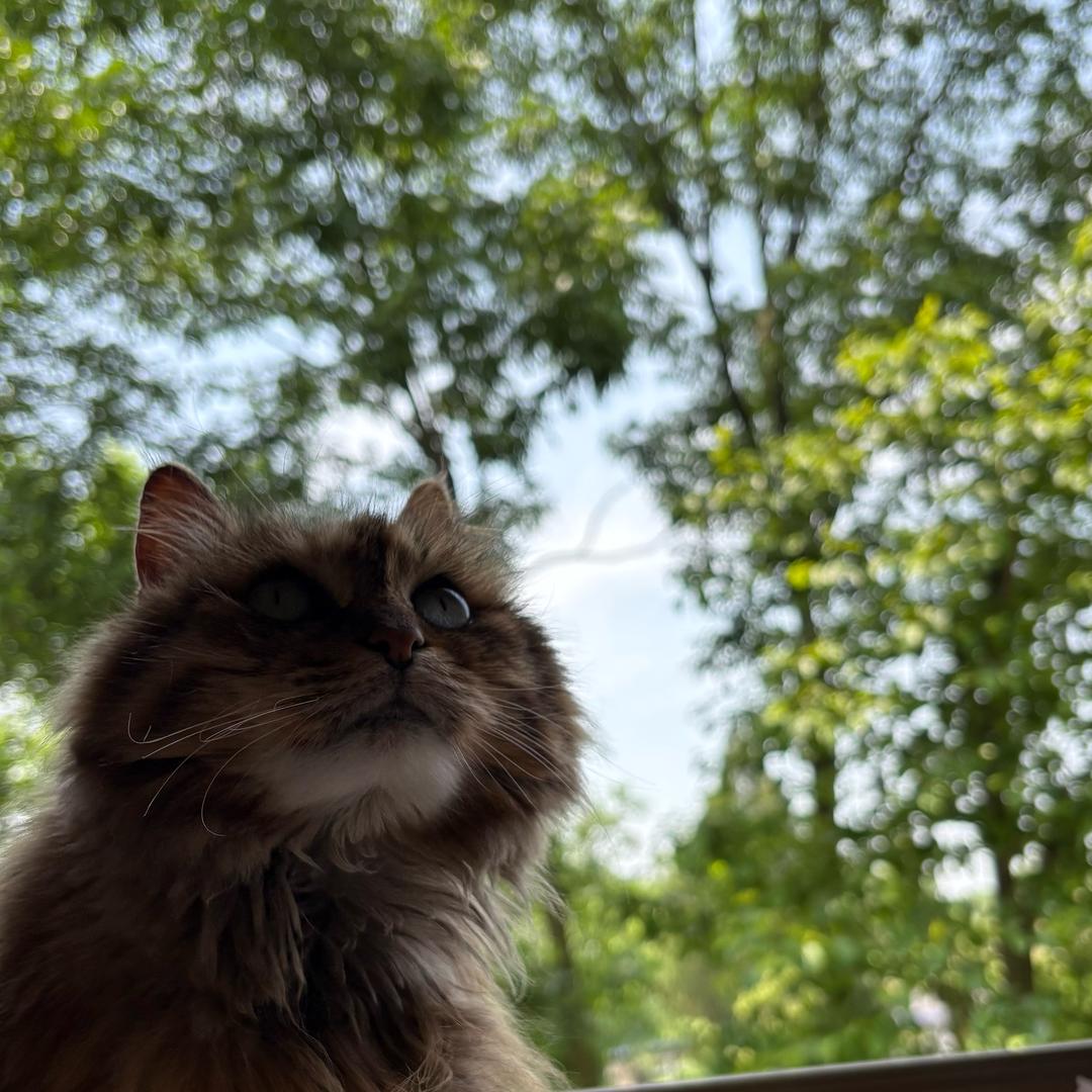 Nana .