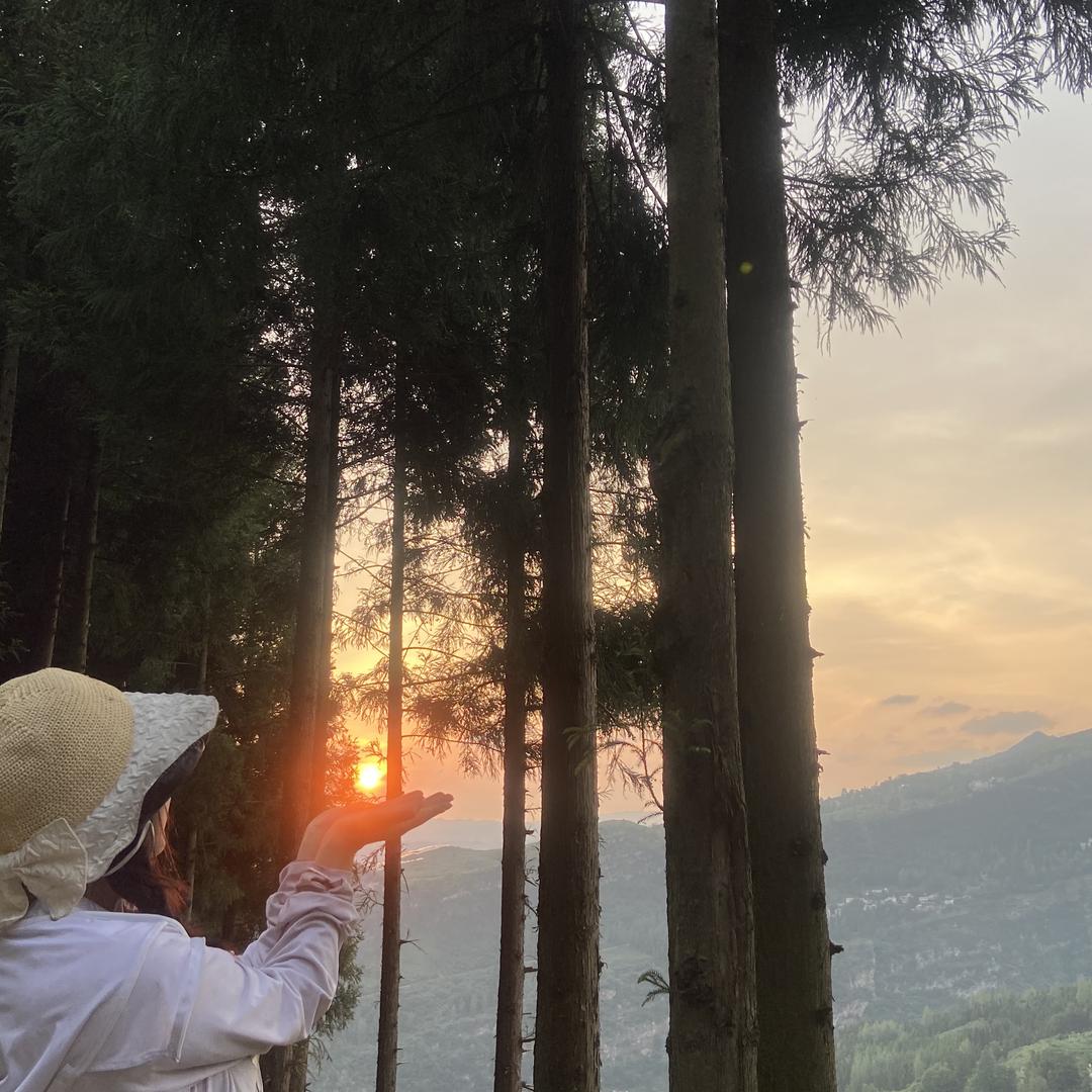 纳雍县杨月农村土特产