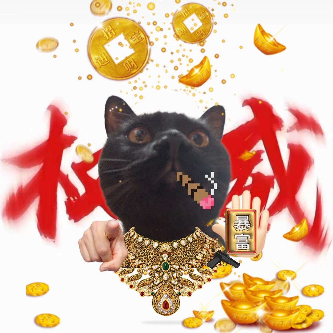 次日清晨z