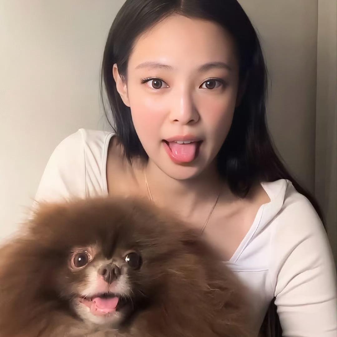 笨笨也假期