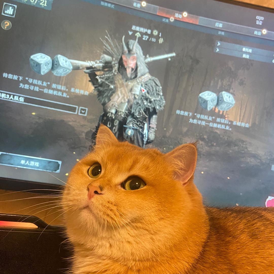 红菲公主（猎杀对决）