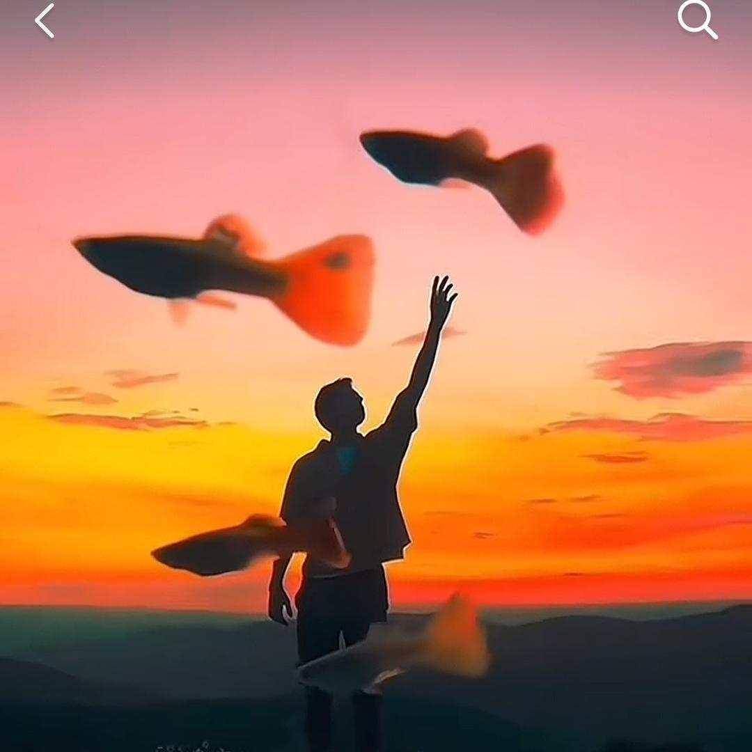 风的自由🌏
