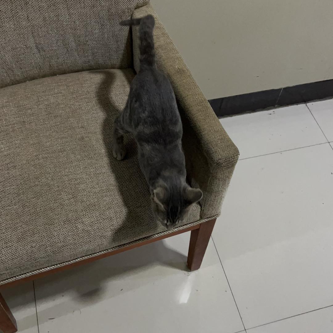 用户58693789167906