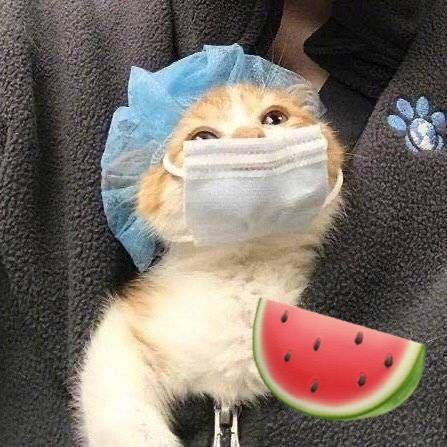 退坑回血哥（评级回血中）