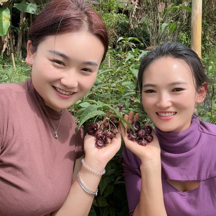 农业小巧👩‍🌾