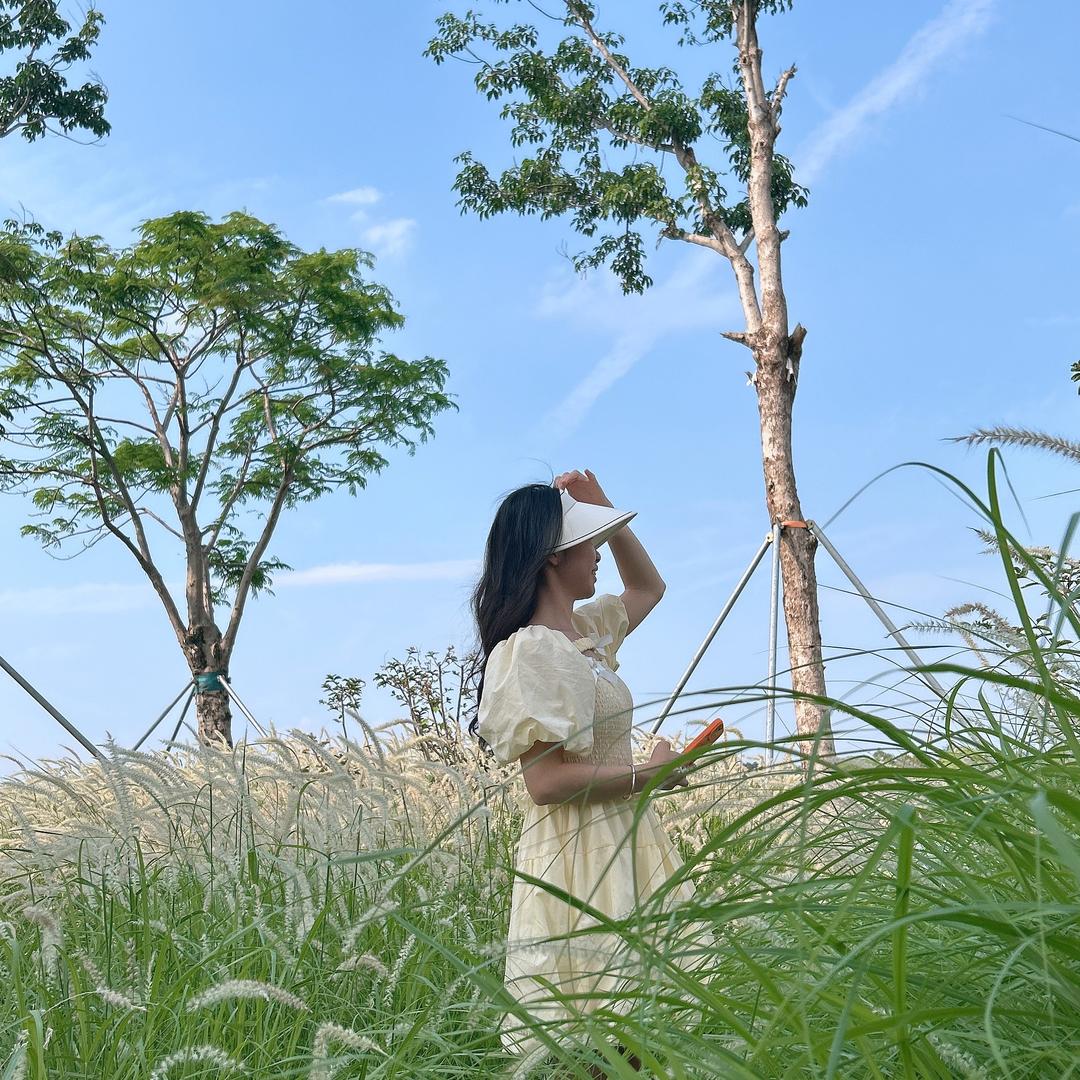 糖分超标的小甜妹