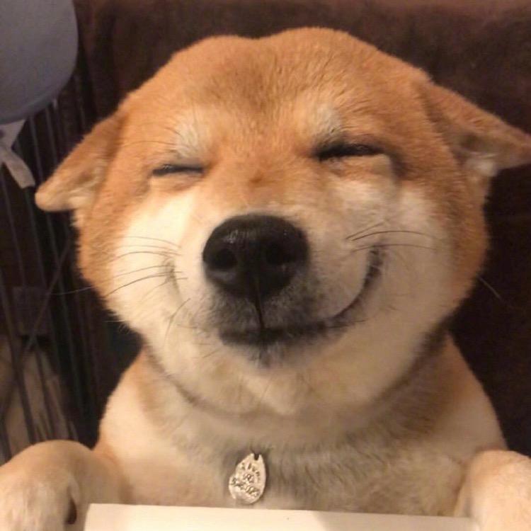 温柔致意