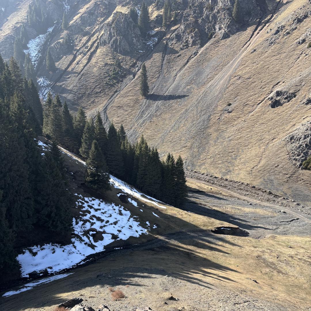 新疆食品好物严选铺