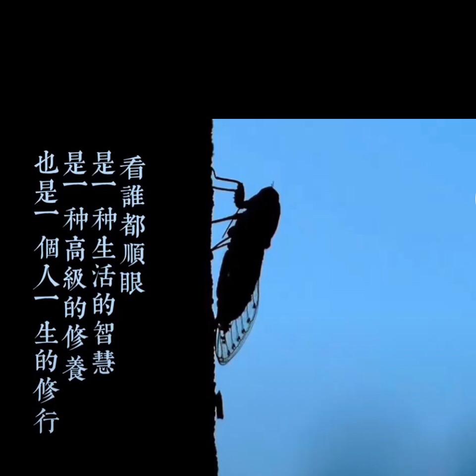 知了