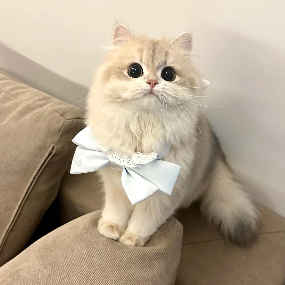 39岁离婚带两娃