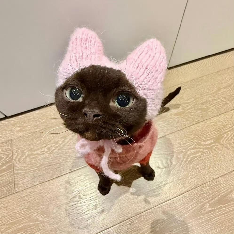 肥咩咩