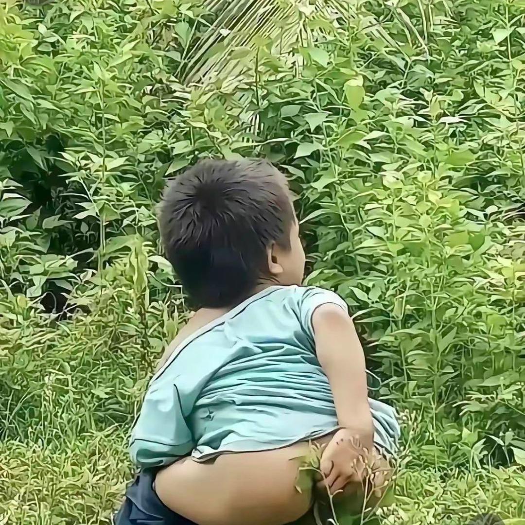 南师.
