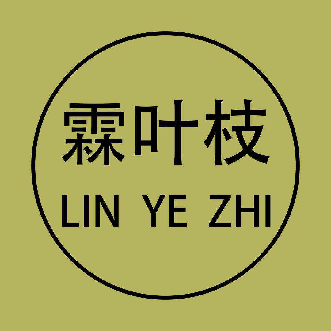 霖叶枝女鞋店