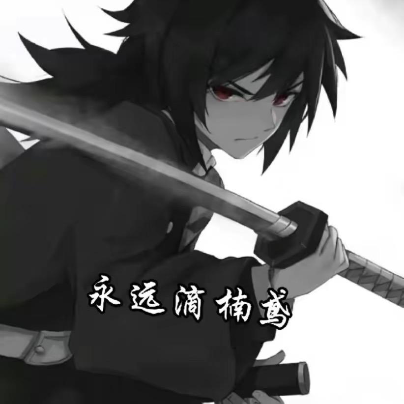 啊楠（楠鸢)电竞工作室