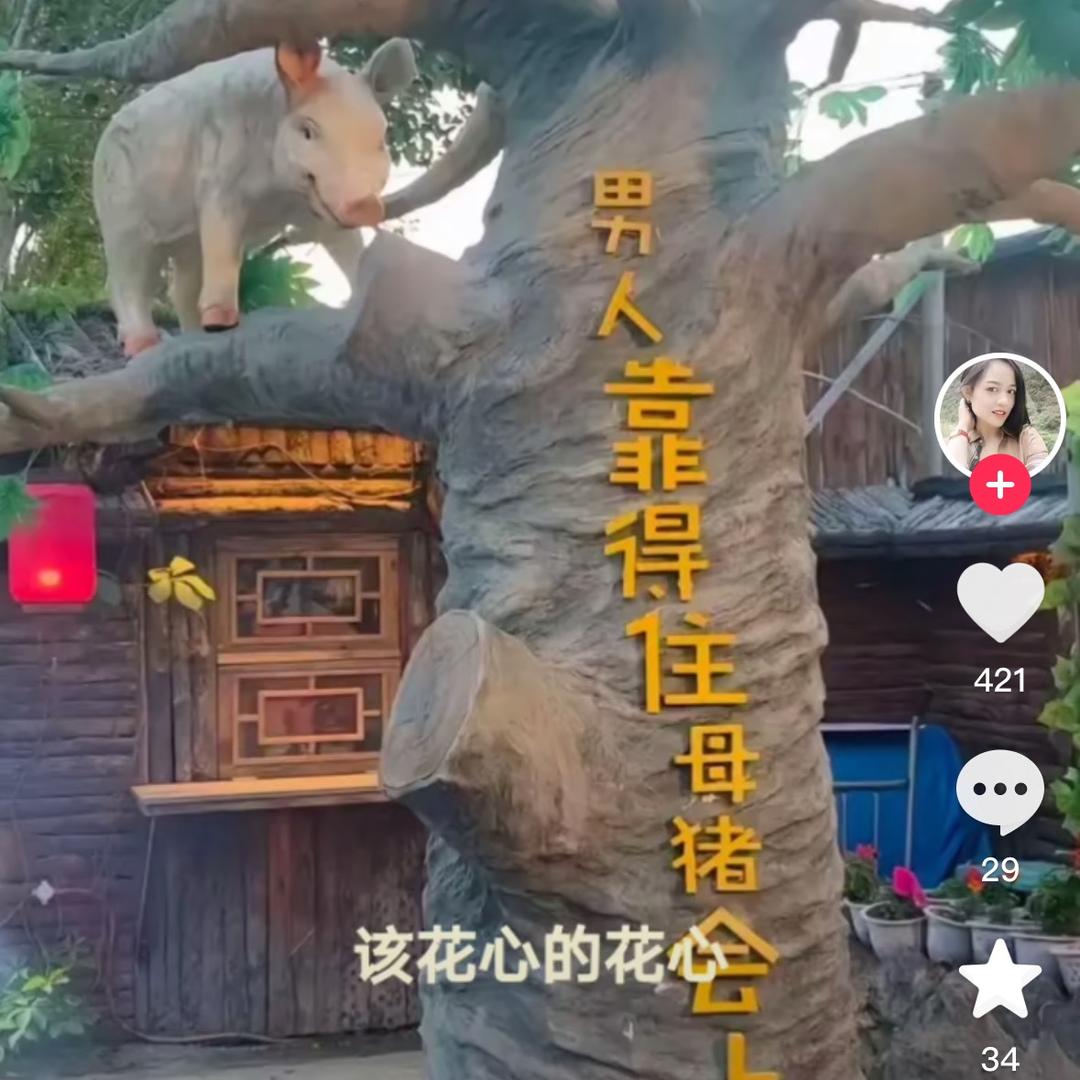 曾经   &只是曾经