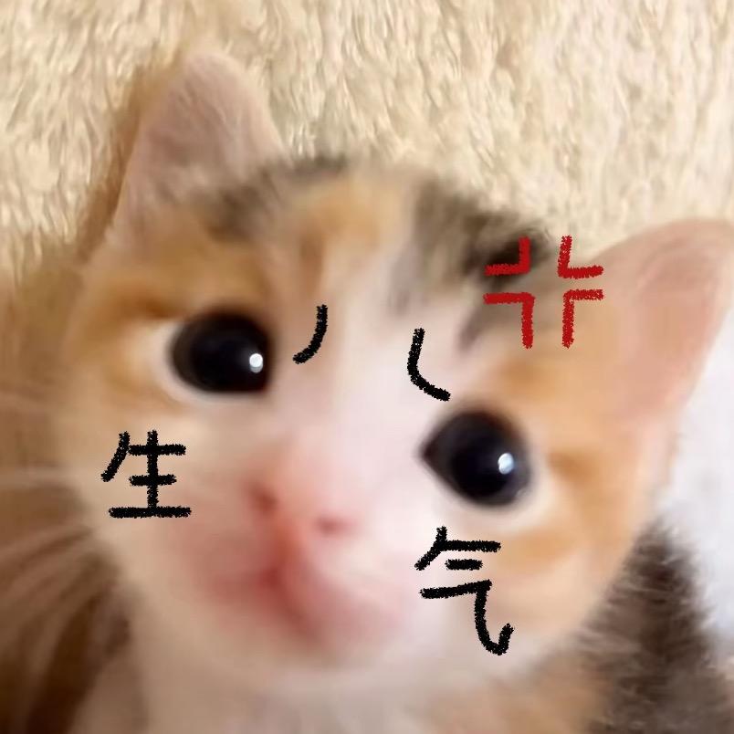 蒸饺🥟