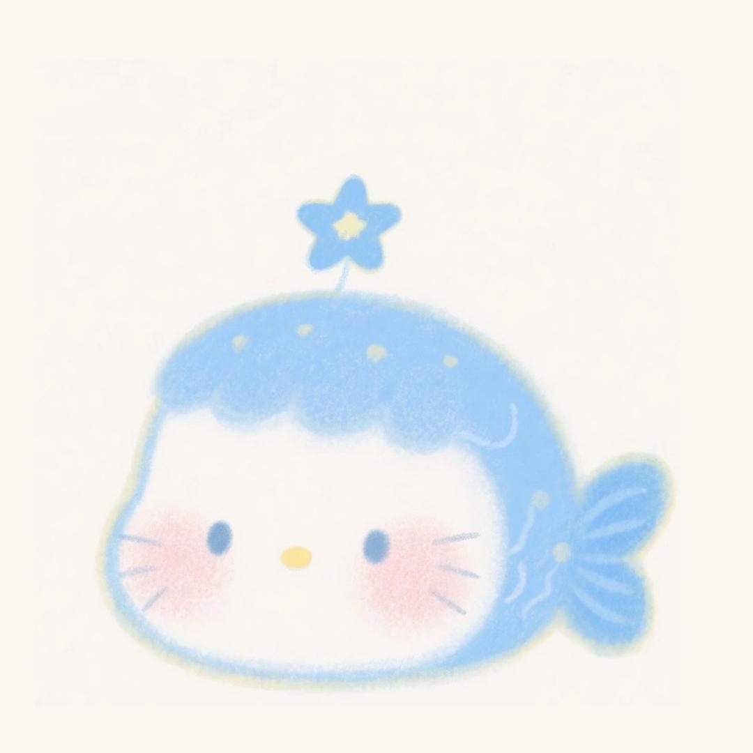 海绵-