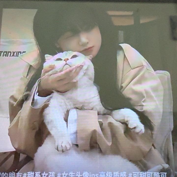 泡泡肥猫🐈