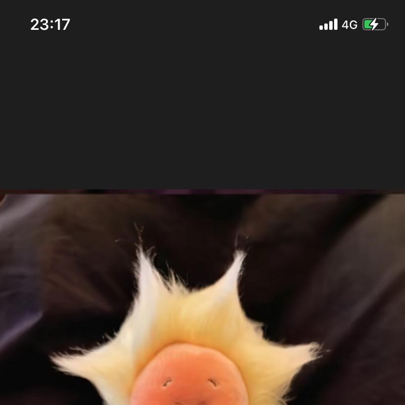 炮炮拆盒鸭