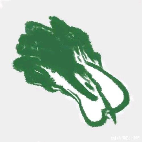 行走的大白菜