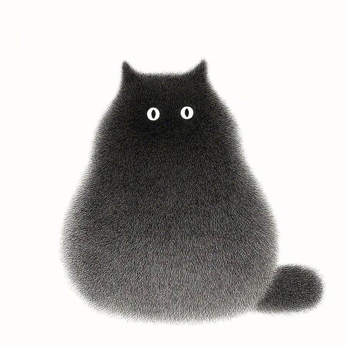 🌈懒猫