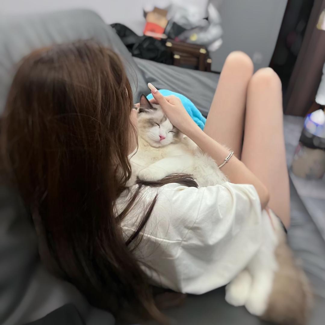 晚宀
