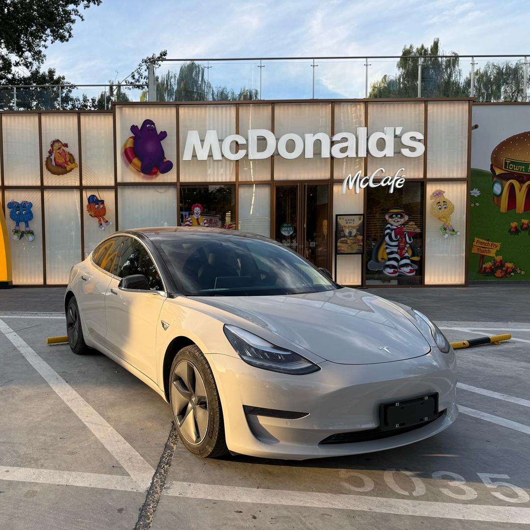 小杨的Tesla（进口四驱长续航）
