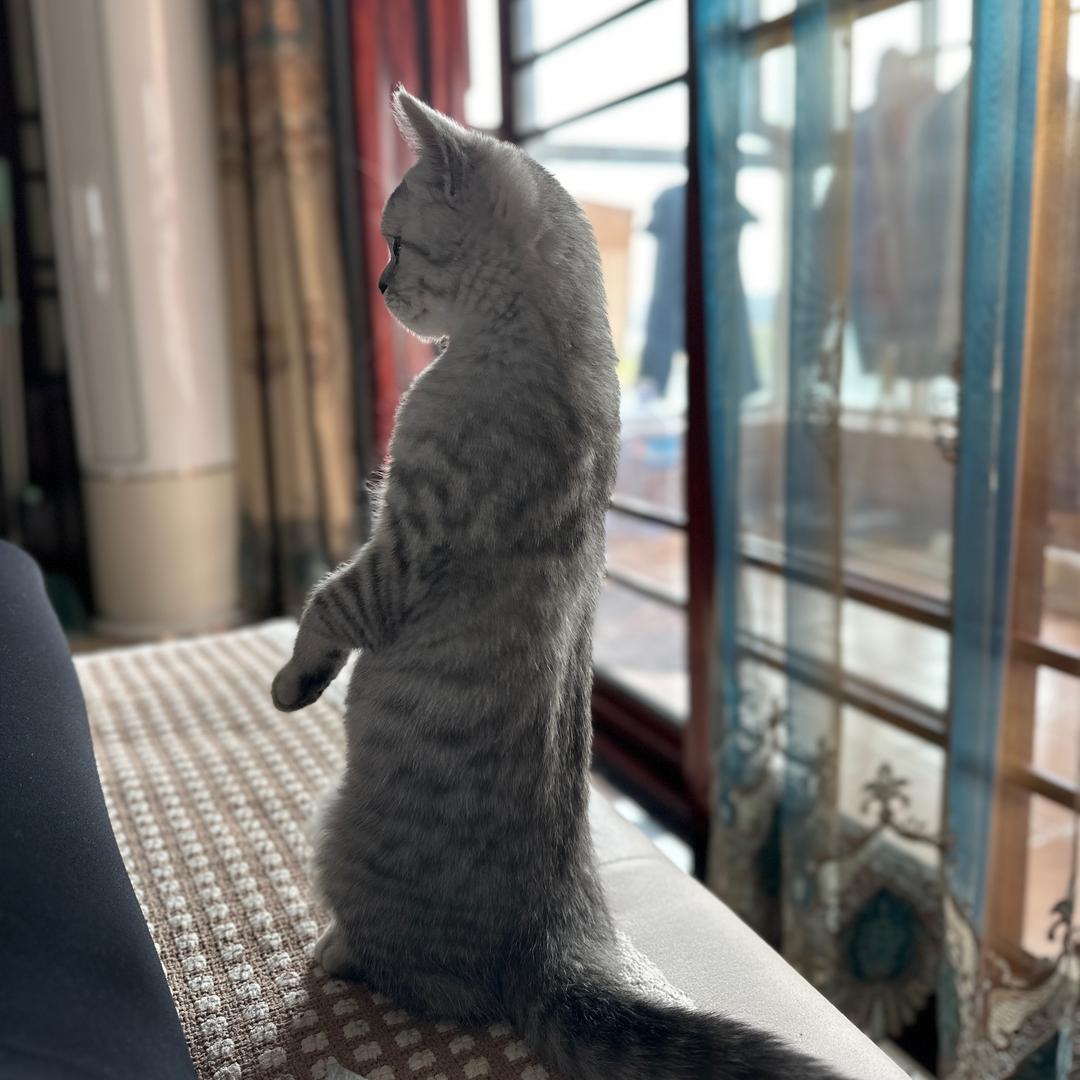 果冻🥰