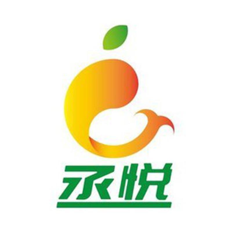 丞悦官方旗舰店