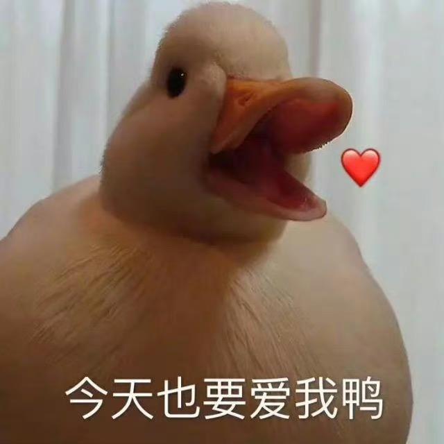 皮蛋(图书版)