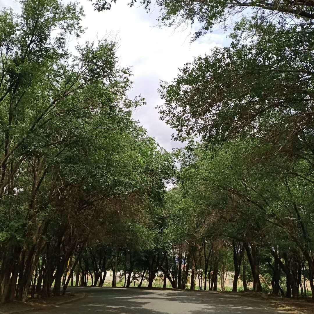 知足常乐