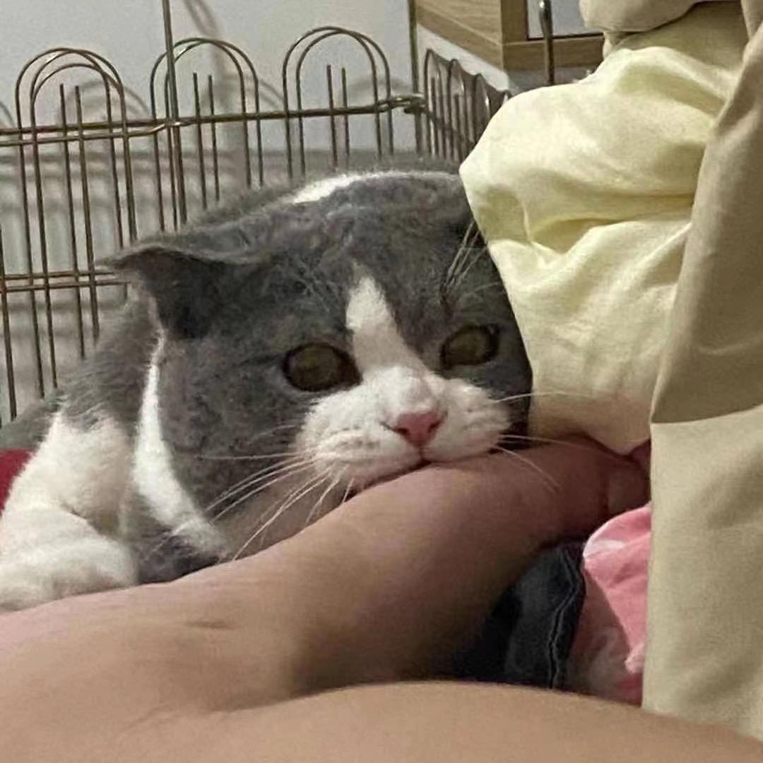 脏天
