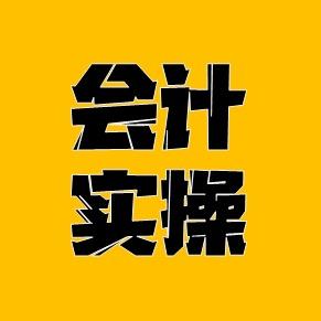 金会计讲实操