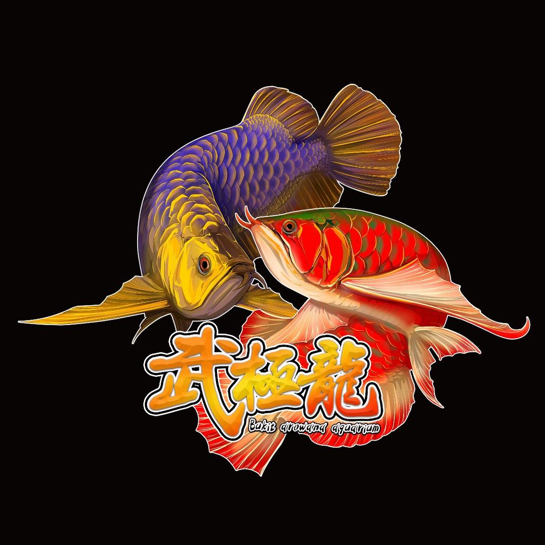 武极龙臻选龙鱼店大鹿