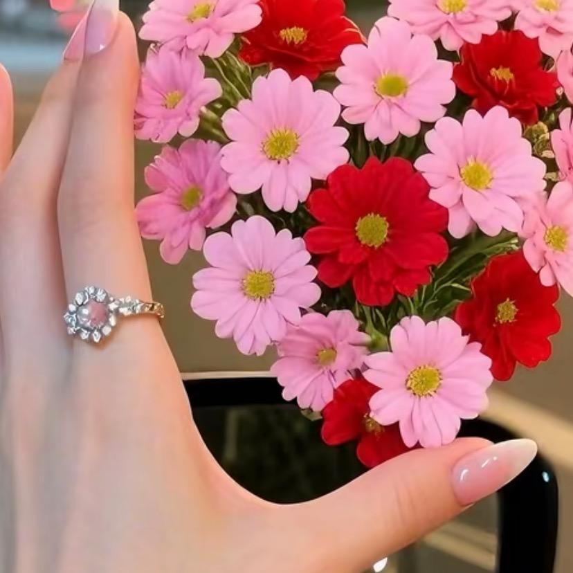 日光➰💘倾了城