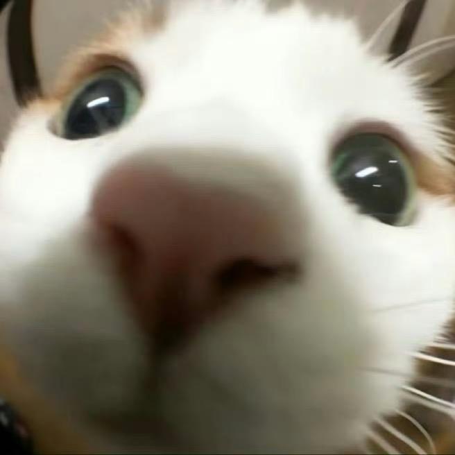 OO