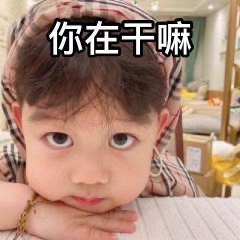 玫瑰花