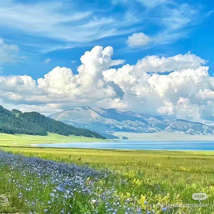 @晏晏