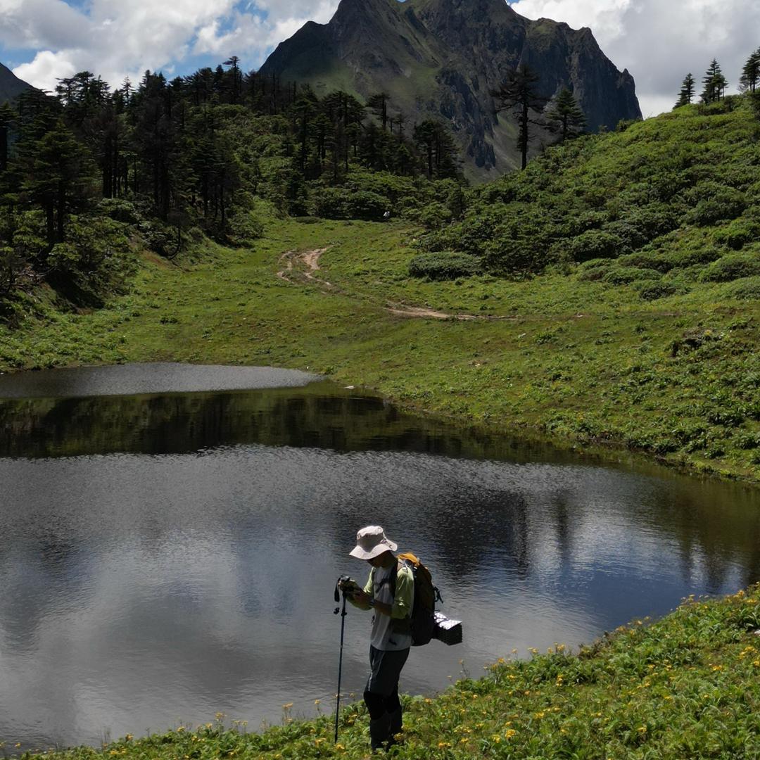 暴龙🦖先生（户外版）