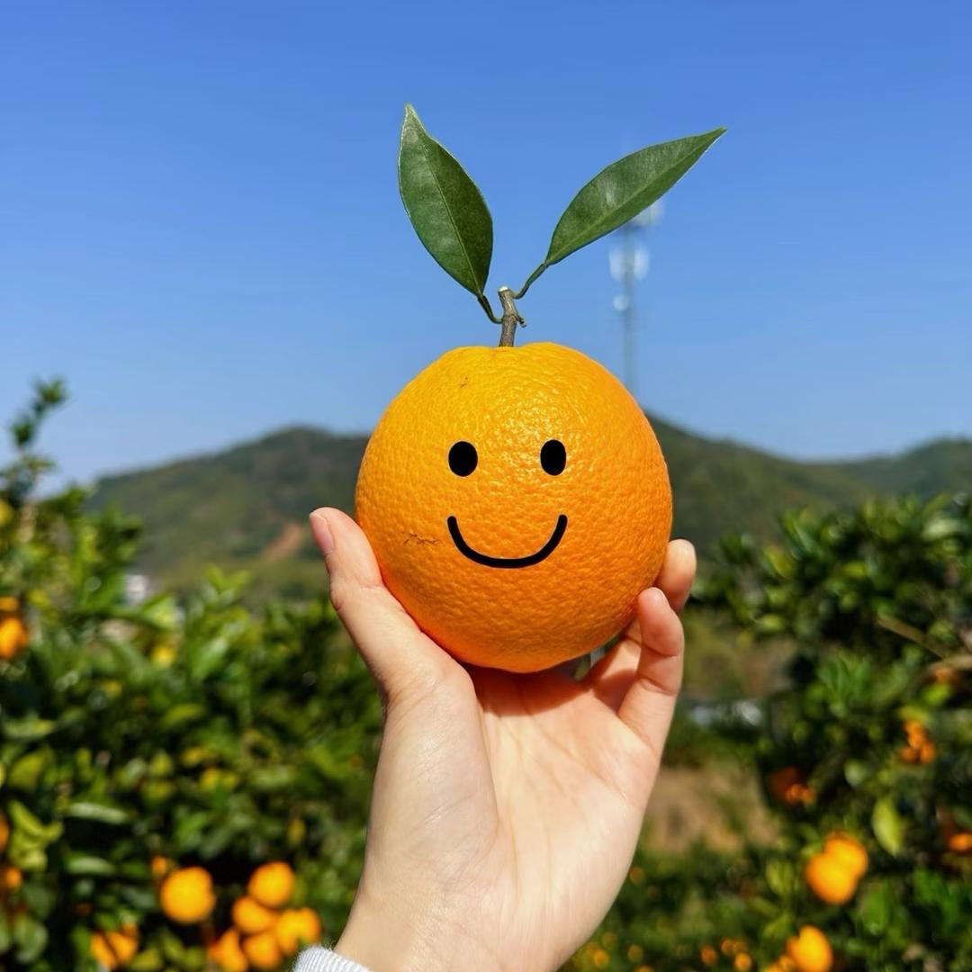 丫头小凌家赣南脐橙