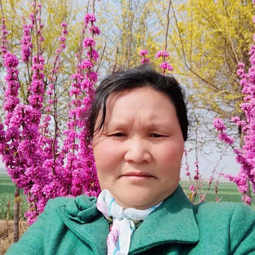 画农梅姐🌾