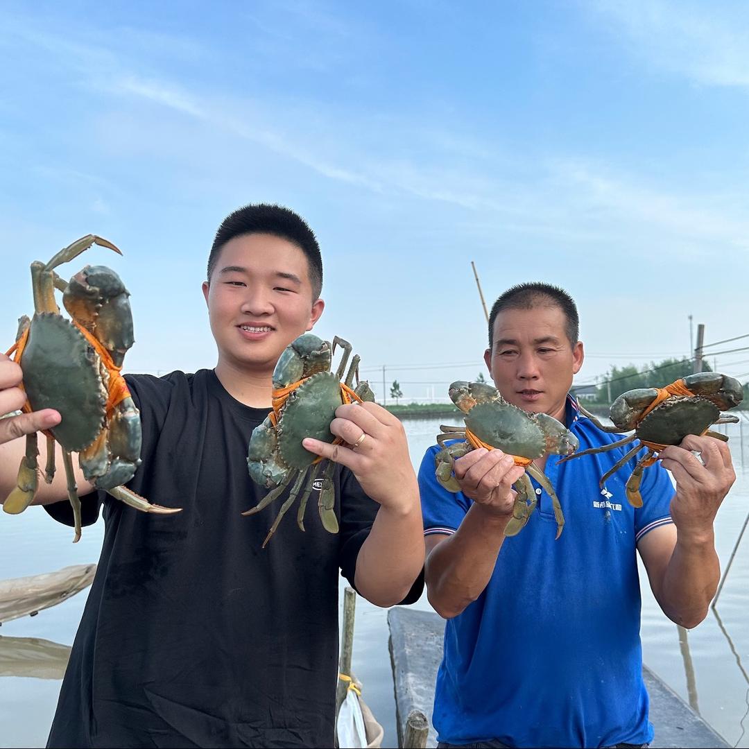 蟹农阿钰｜三门青蟹