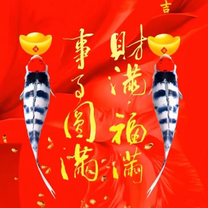 抖出感觉