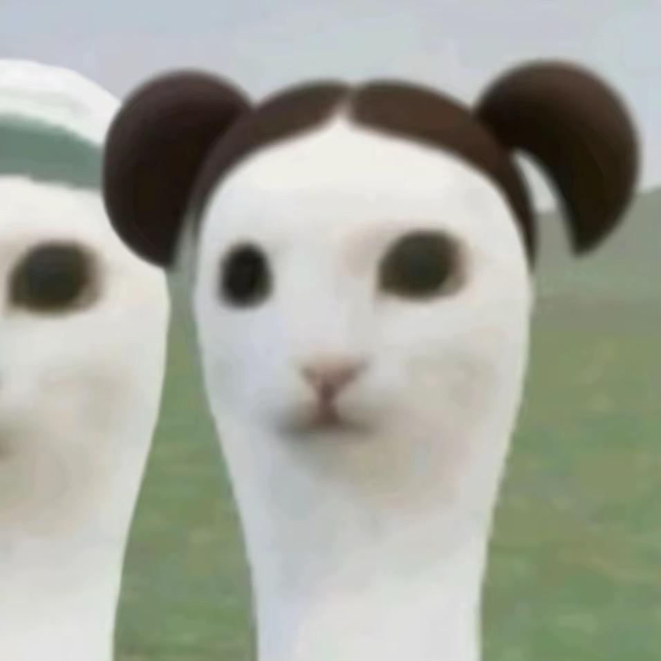 圆啊圆
