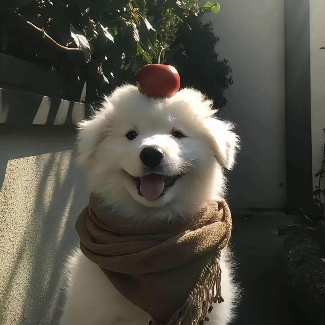 小羊无敌