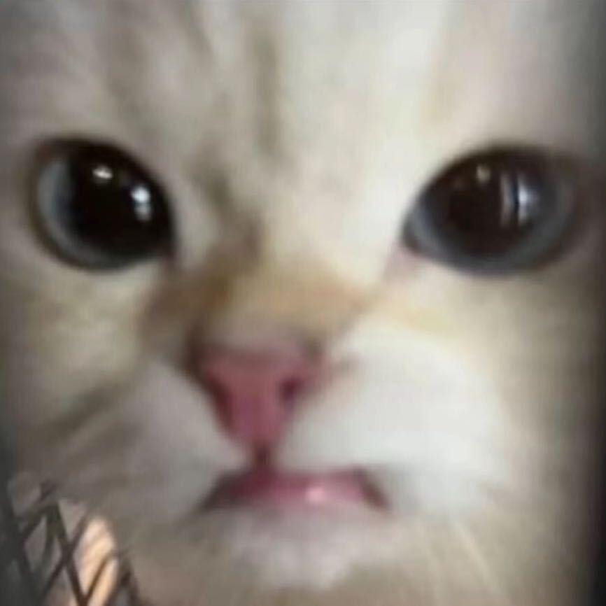 小小妍