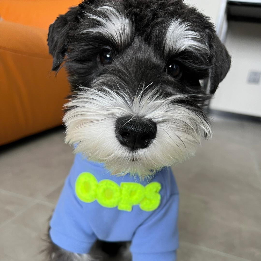 沙雕大战葫芦娃