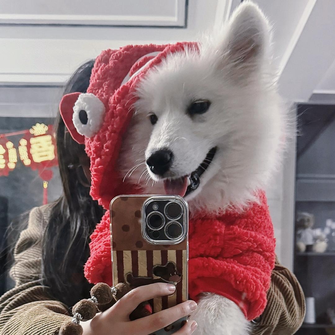 丸子..